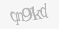 Қорғаныс коды